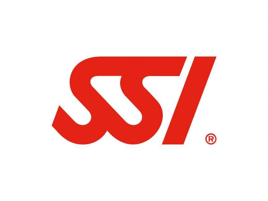 SSI
